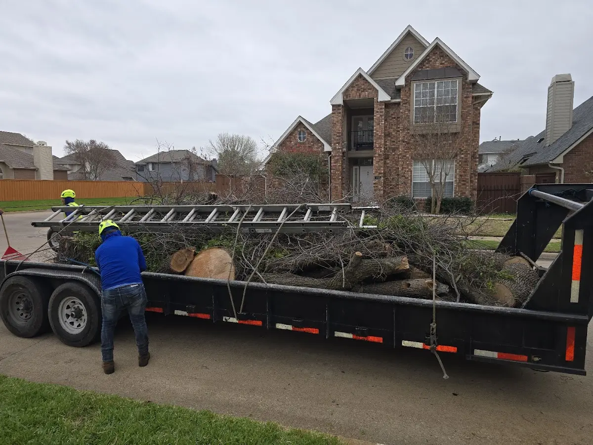 Expert Crown Reduction with proper safety equipment in West Danville